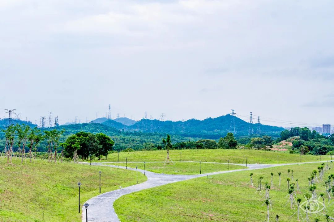 深圳周末休闲放松的好地方有哪些,周末去哪玩深圳推荐几个地方