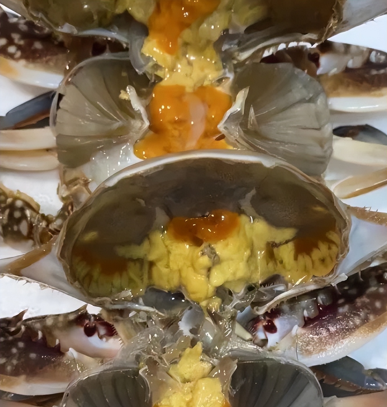 舌尖上的潍坊老潍县菜,舌尖上的寿光小吃