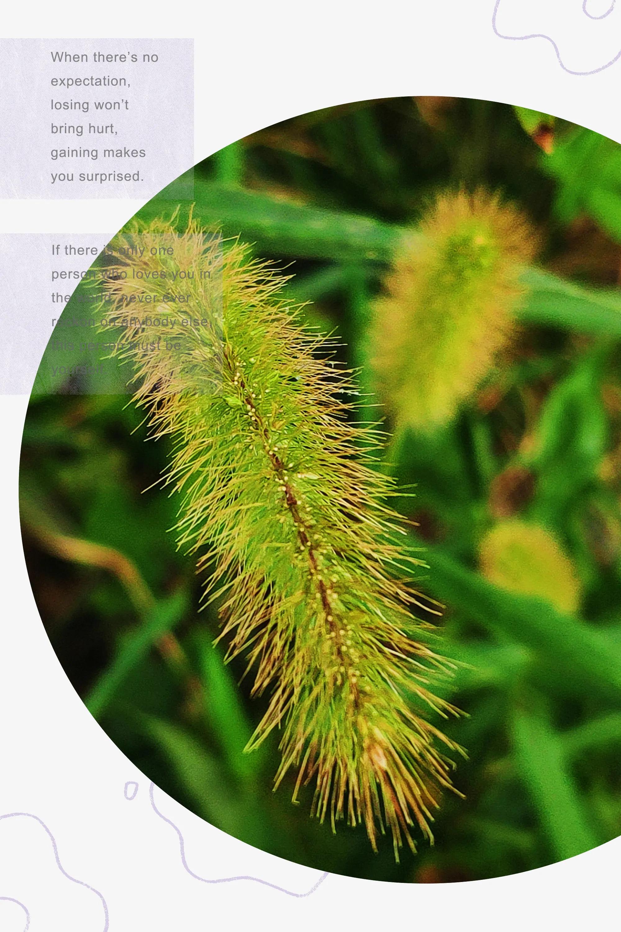 田园美景竖屏大图,乡村田园风景手机怎么拍