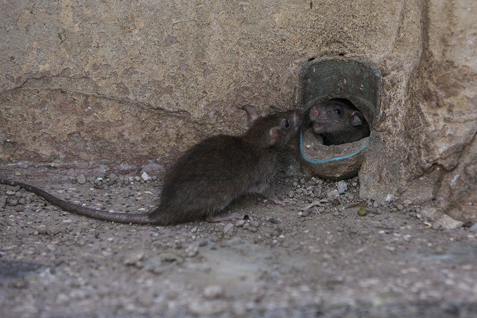 2013年，非洲2岁“巫童”遭父母遗弃，饿得皮包骨，如今还活着吗