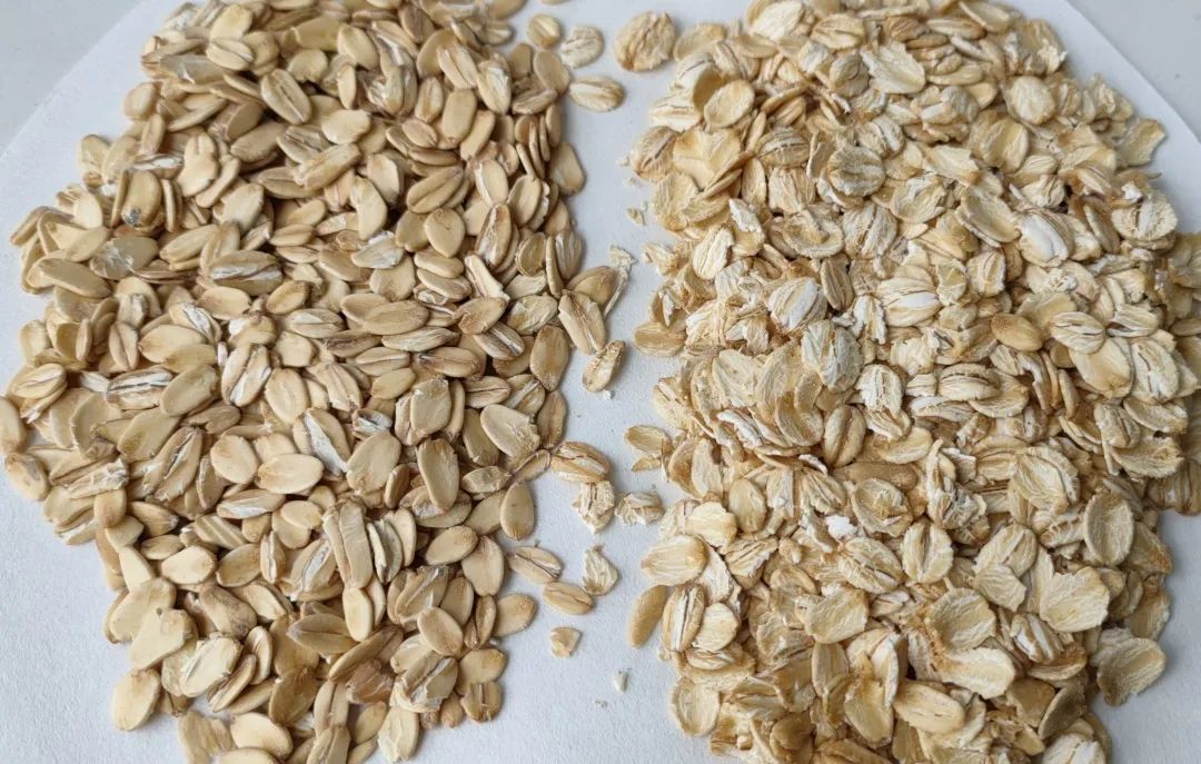 即食燕麦片升糖高减肥能吃吗,即食燕麦片升血糖还是降血糖