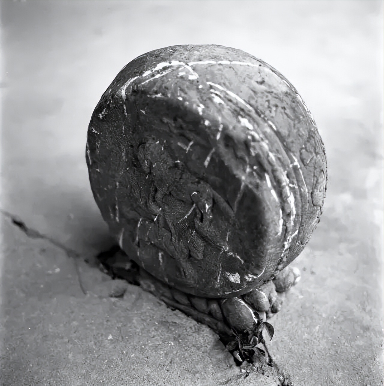 鄠邑遗迹,鄠邑古迹