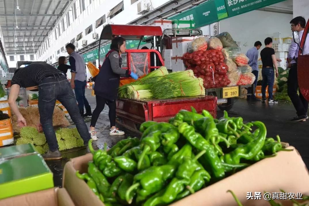 蔬菜供货持续增加菜价季节性下滑,蔬菜倒卖注意事项