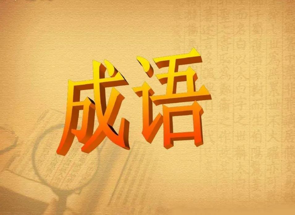 中考成语专项训练及答案解析,高考成语新题型