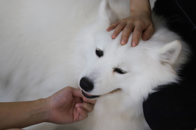 深圳必打卡咖啡馆,深圳罗湖小众咖啡馆