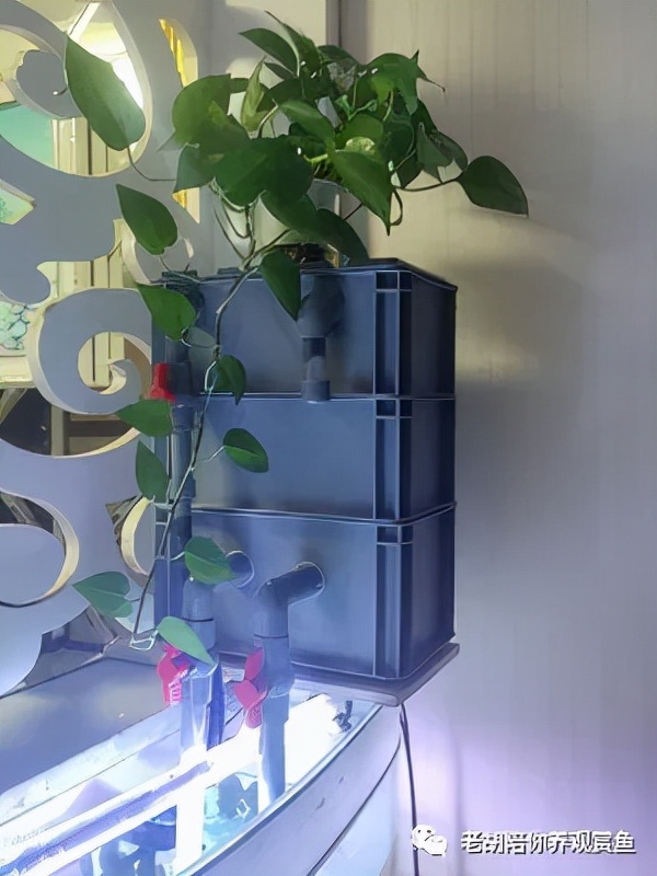 周转箱过滤好不好用,周转箱做过滤教程