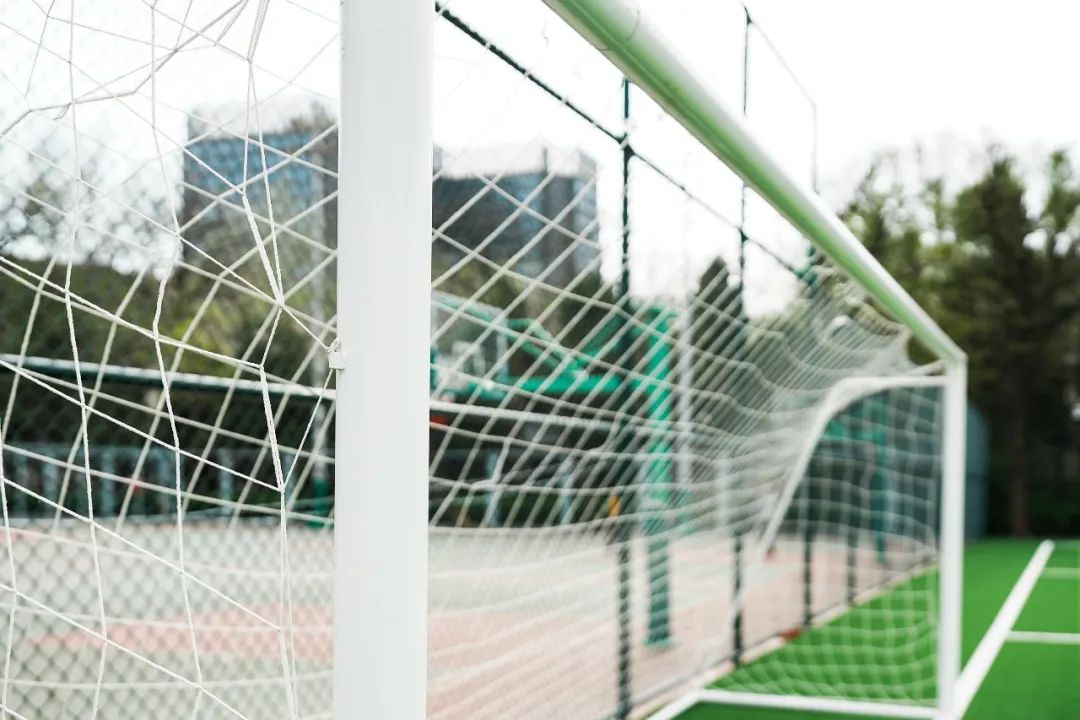 最新足球场改造消息,足球场升级改造