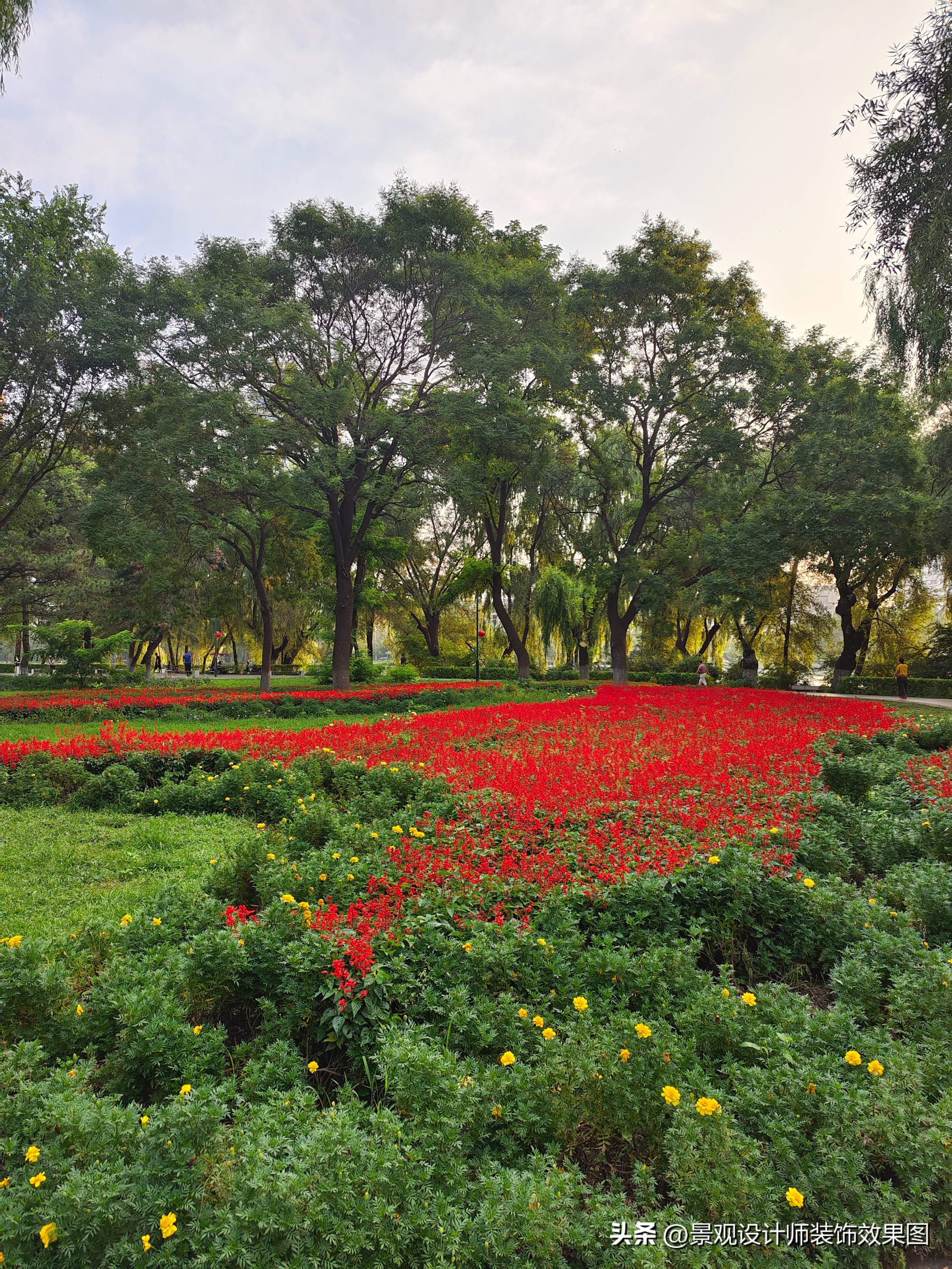 沈阳青年公园所在地,沈阳青年公园