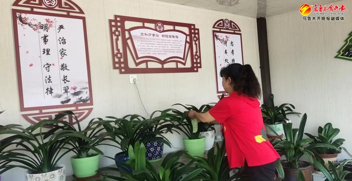 乌鲁木齐绿化改造,乌鲁木齐生态园林城市建设