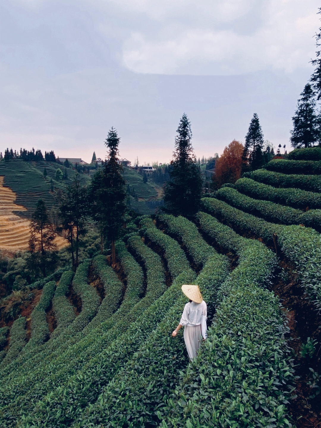 成都近郊一个小众禅意古镇,成都茶山古镇图片