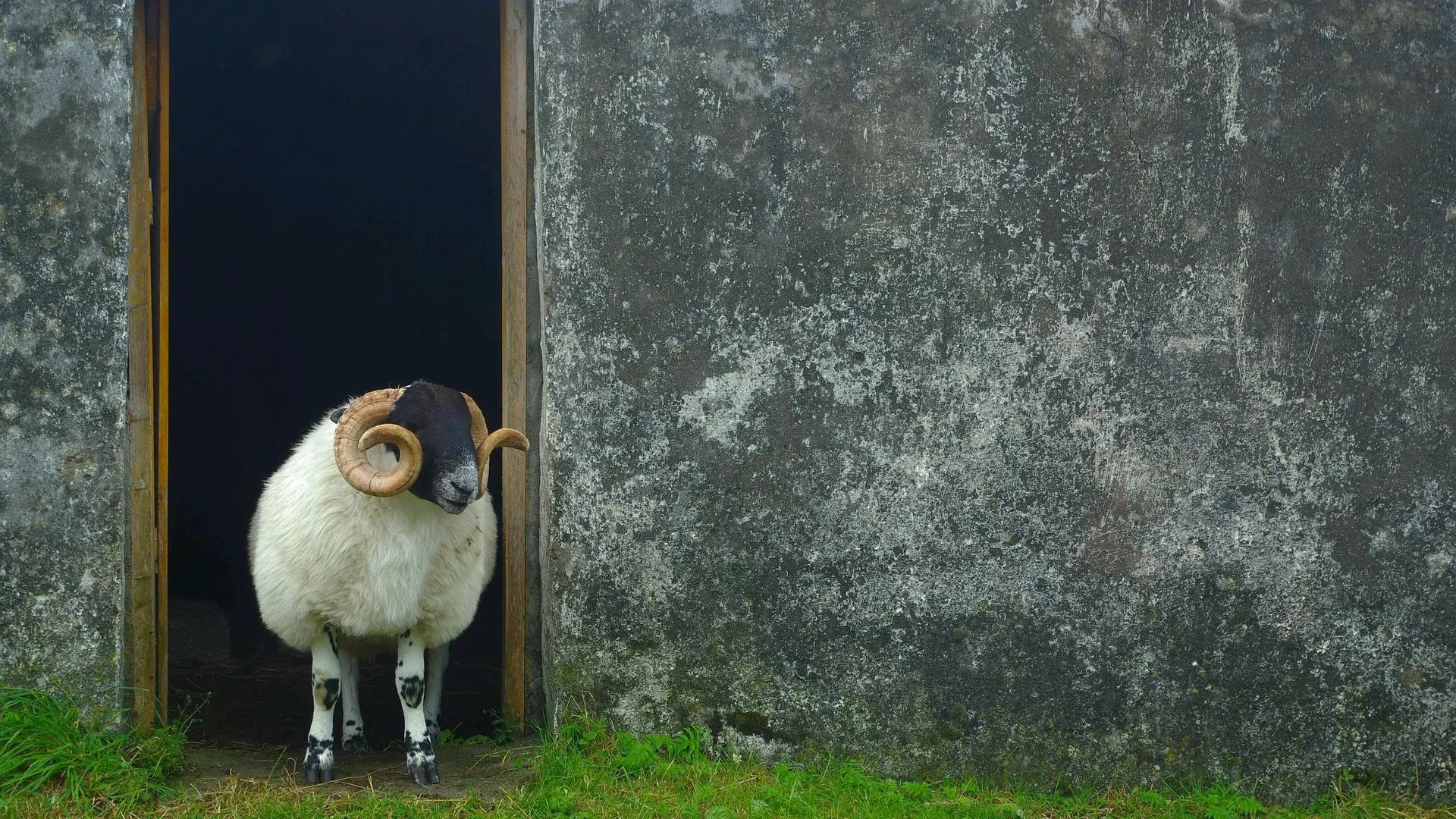 关于中国传统文化的英语表达,中国传统文化名词的英文表达