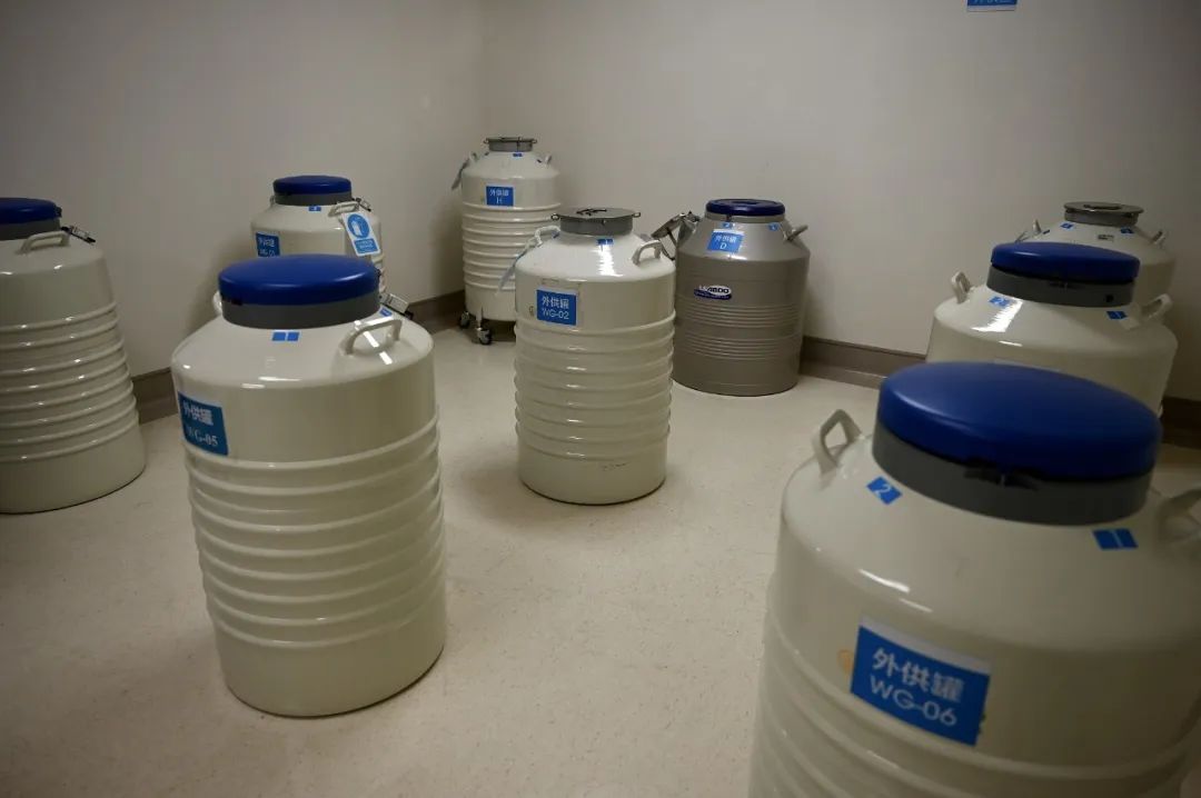 这届男人还行不行啊｜答案如下