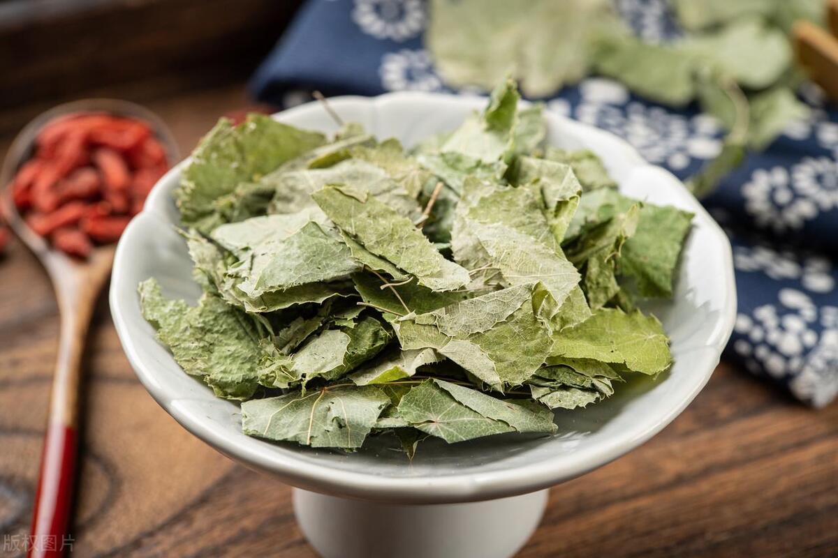 淫羊藿农村地里能找到吗,北方有淫羊藿的植物图片