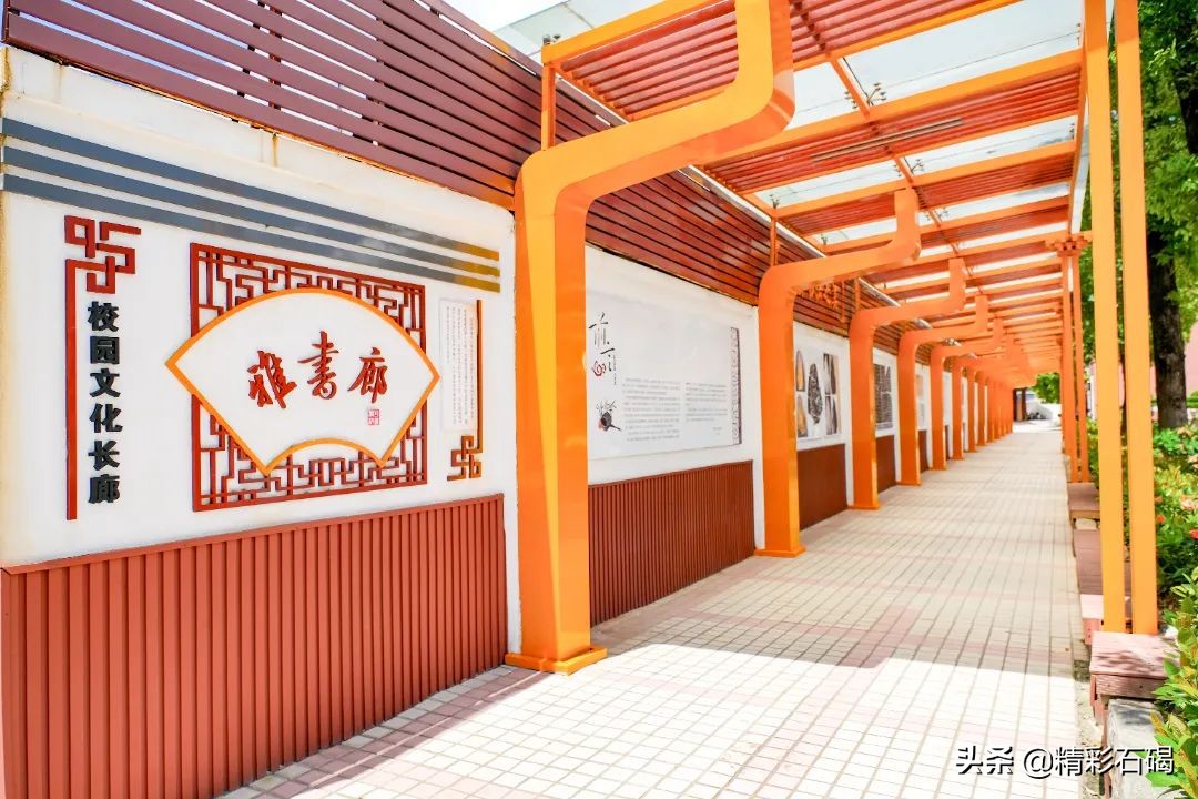 閫夋嫨灏忔槑鏄熸垚灏卞ぇ鏈潵,閫夋嫨鑲叉墠鎴愬氨缇庡ソ鏈潵