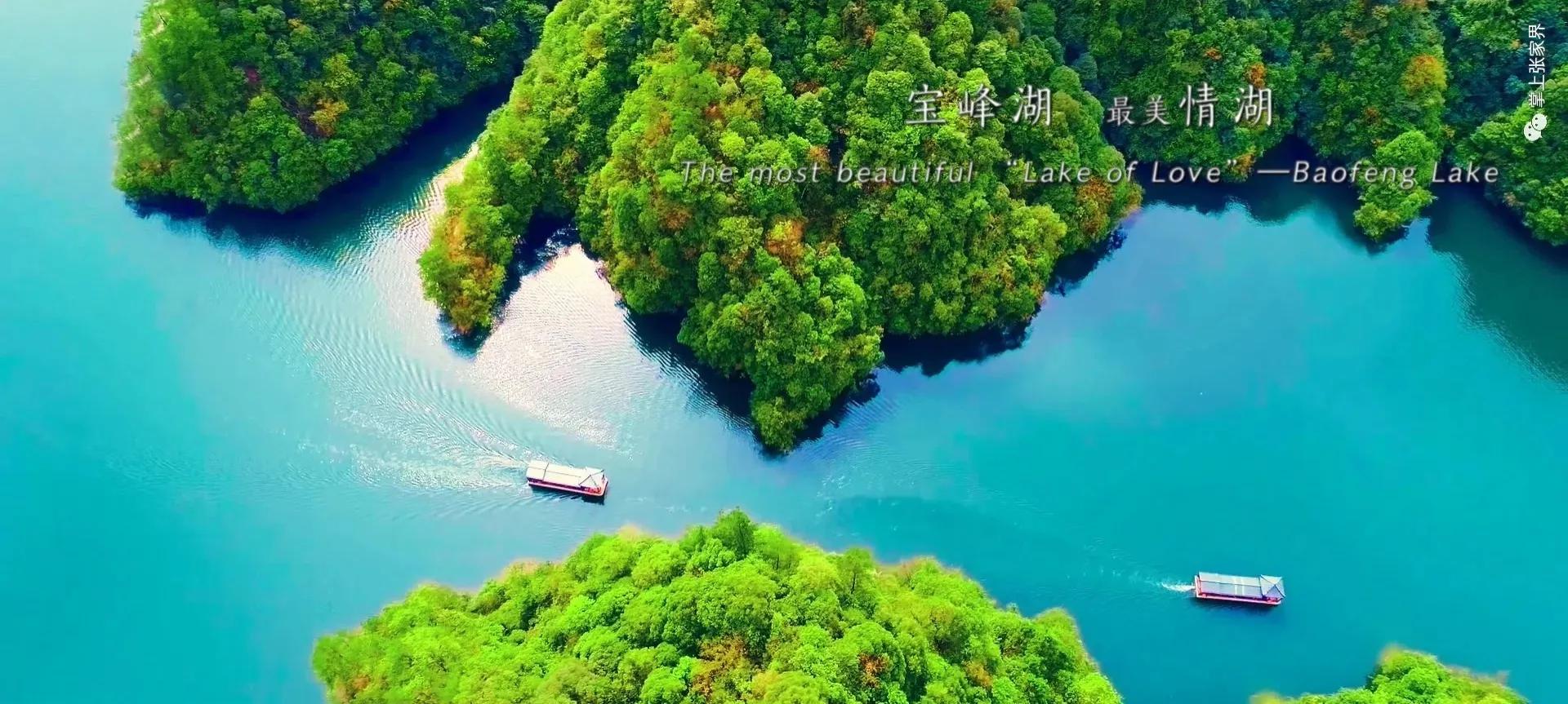 仙境张家界惊艳全世界,张家界的峰林峡谷仙境