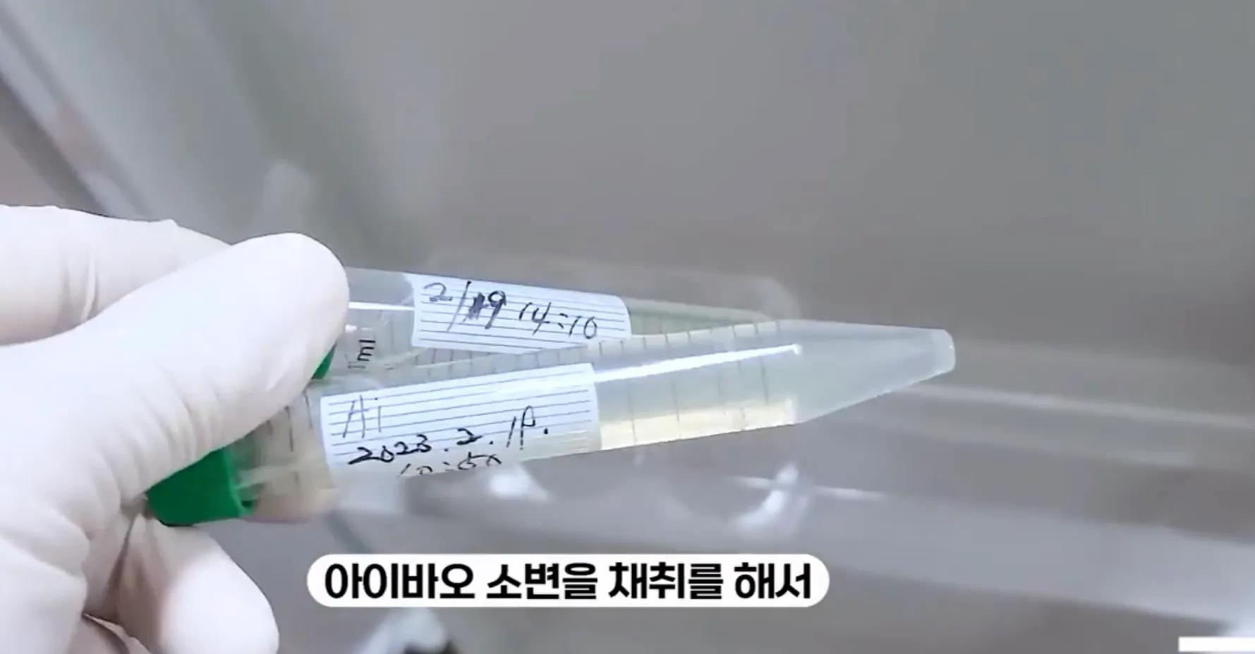 央妈也蹭热度官宣爱宝二胎，宝家族自然繁育的故事，再次开花结果