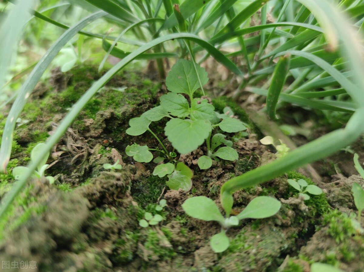自闭社恐怎么办,社恐自闭自卑怎么办