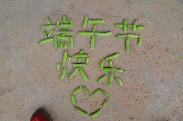 端午节十大禁忌,端午节十大禁忌完整