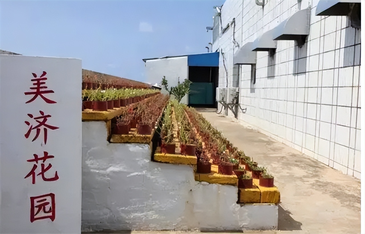 美济礁岛现在面积,美济礁南小岛面积