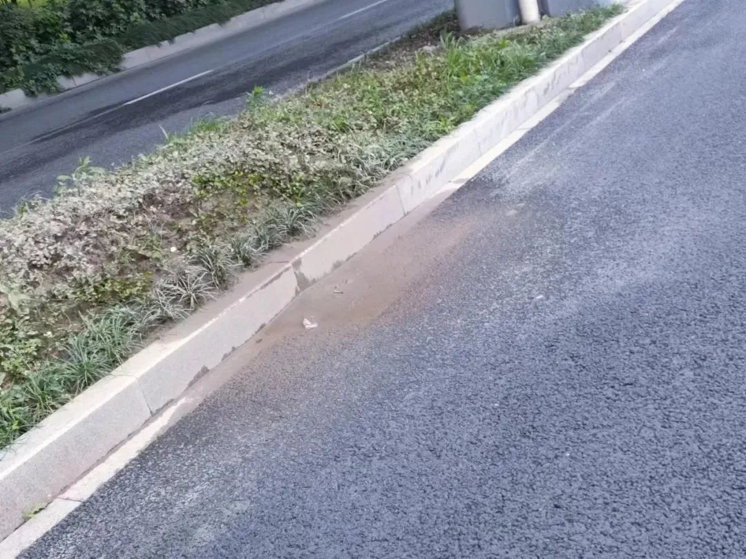 洗污渍、清死角、洗积尘……九堡颜值又刷新