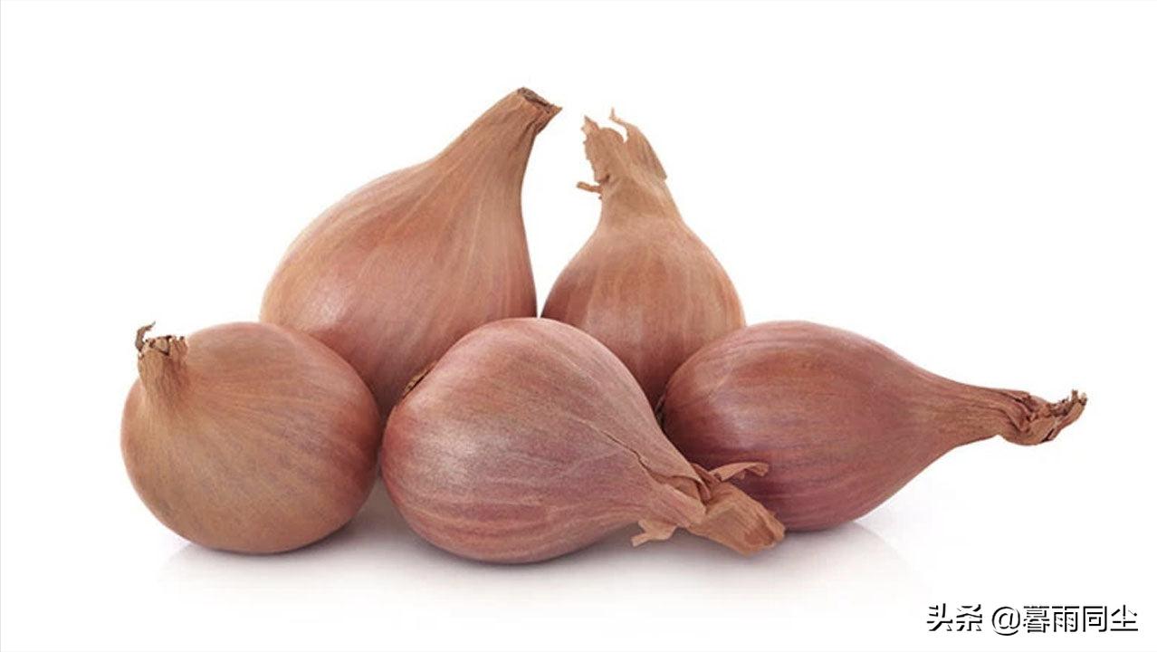 露营食材推荐大全,广东人露营必备食材清单大全