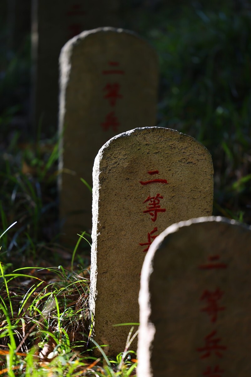 春节去云南哪里游玩有特色,春节除了云南还有哪里好耍