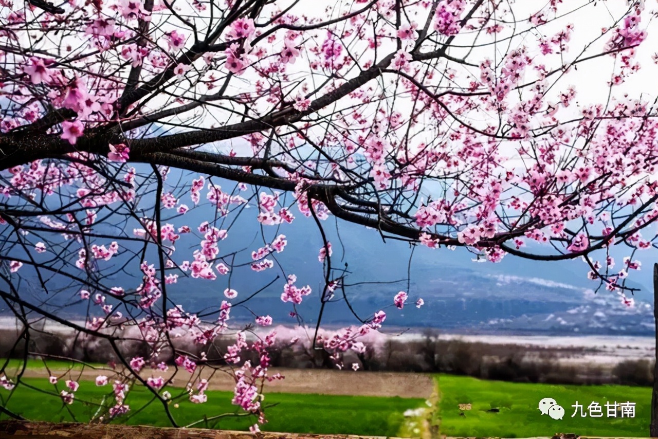 甘南大环线拍照打卡,甘南旅游必打卡的十个地方