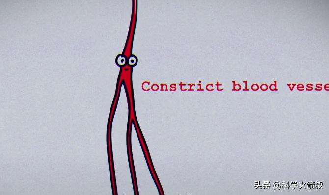 为什么我们会发烧,我们为什么会发烧