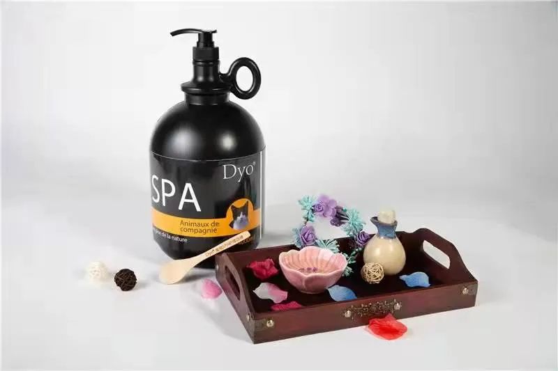 入驻门店近20000家，年增长超50%，Dyo用精致SPA“愉悦”万千宠物