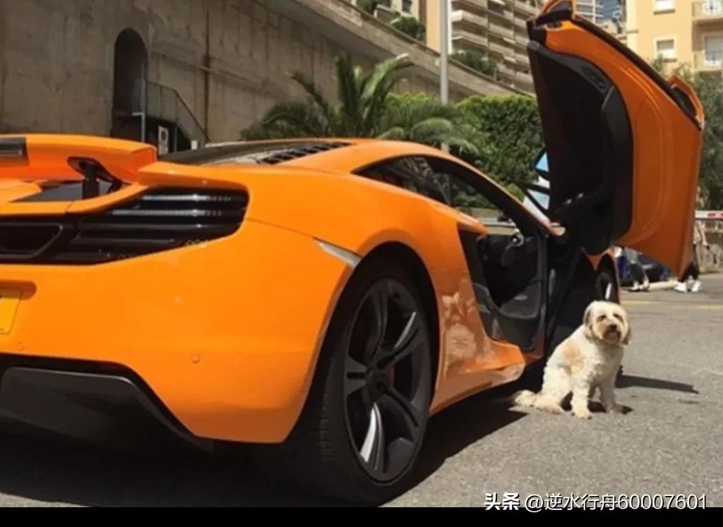 鍖瑰か鏈夎矗涓哄浗鑰屾垬鏃犵濂夌尞,淇濆鍗浗鍖瑰か鏈夎矗