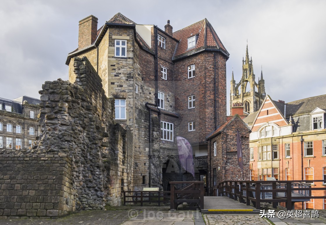 纽卡斯尔球队历史,纽卡斯尔足球俱乐部介绍