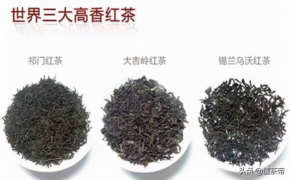 世界三大高香红茶之一英文,世界三大高香红茶地图