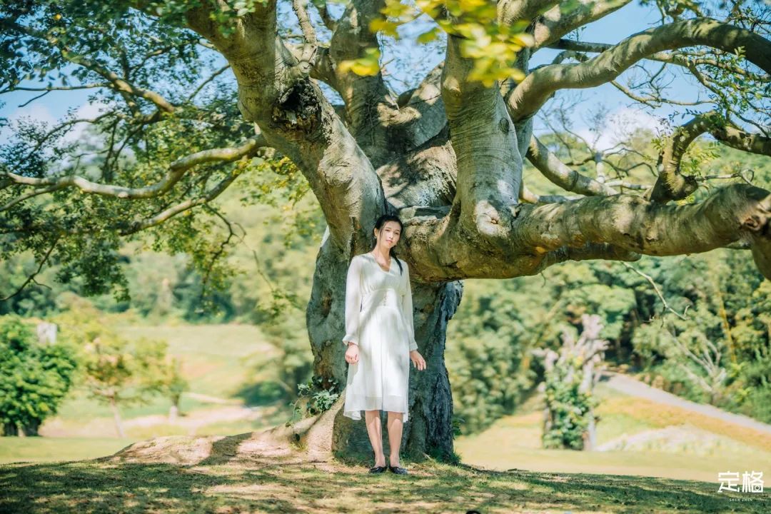 深圳小众打卡景点龙岗,2022深圳10个小众打卡地免费游玩