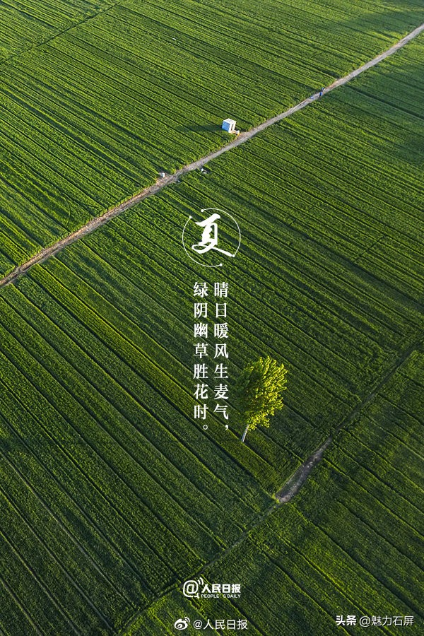 古诗词夏日美景,当夏日美景遇上古诗词怎么写
