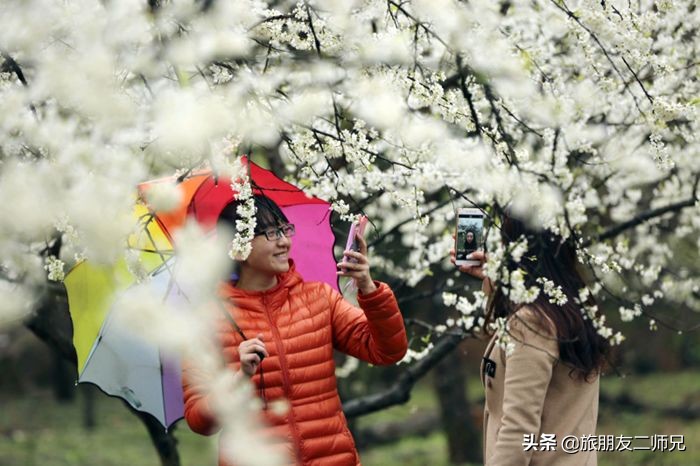 清远阳山二天一夜旅游景点攻略,广州自驾阳山旅游攻略图