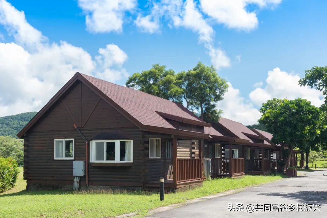 2023年全国乡村振兴优秀案例,乡村振兴典型案例5000字材料