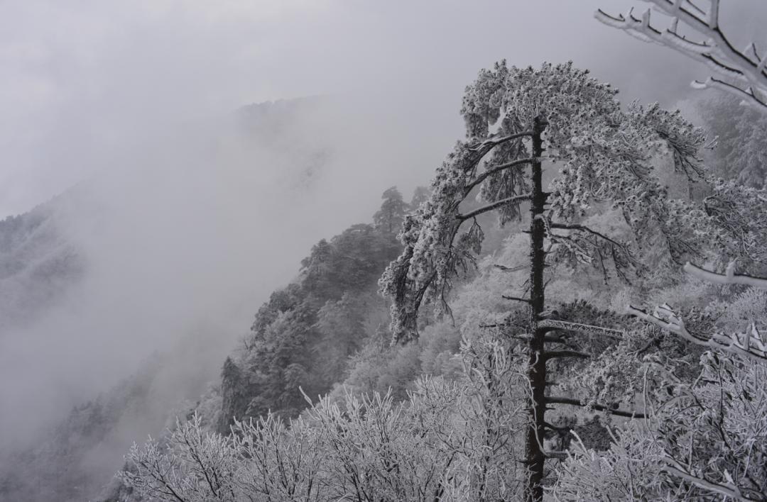 不愧是天下第一山真的很壮观,不愧是天下第一奇山