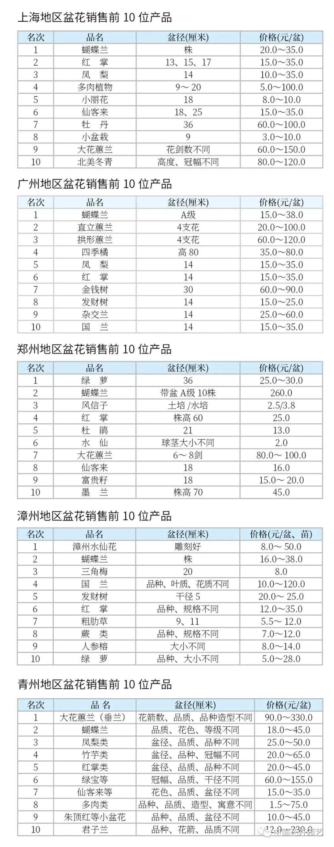 盆花的市场行情,小盆花行情
