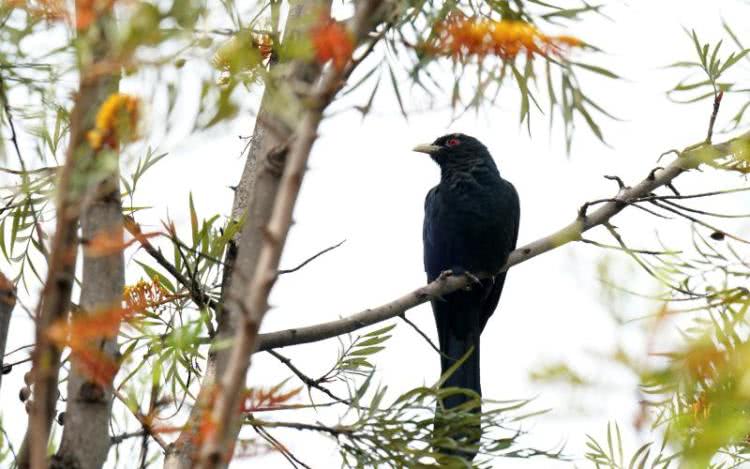 赏城中美景，品厦门味道。城市中心C位酒店，毗邻植物园、中山路