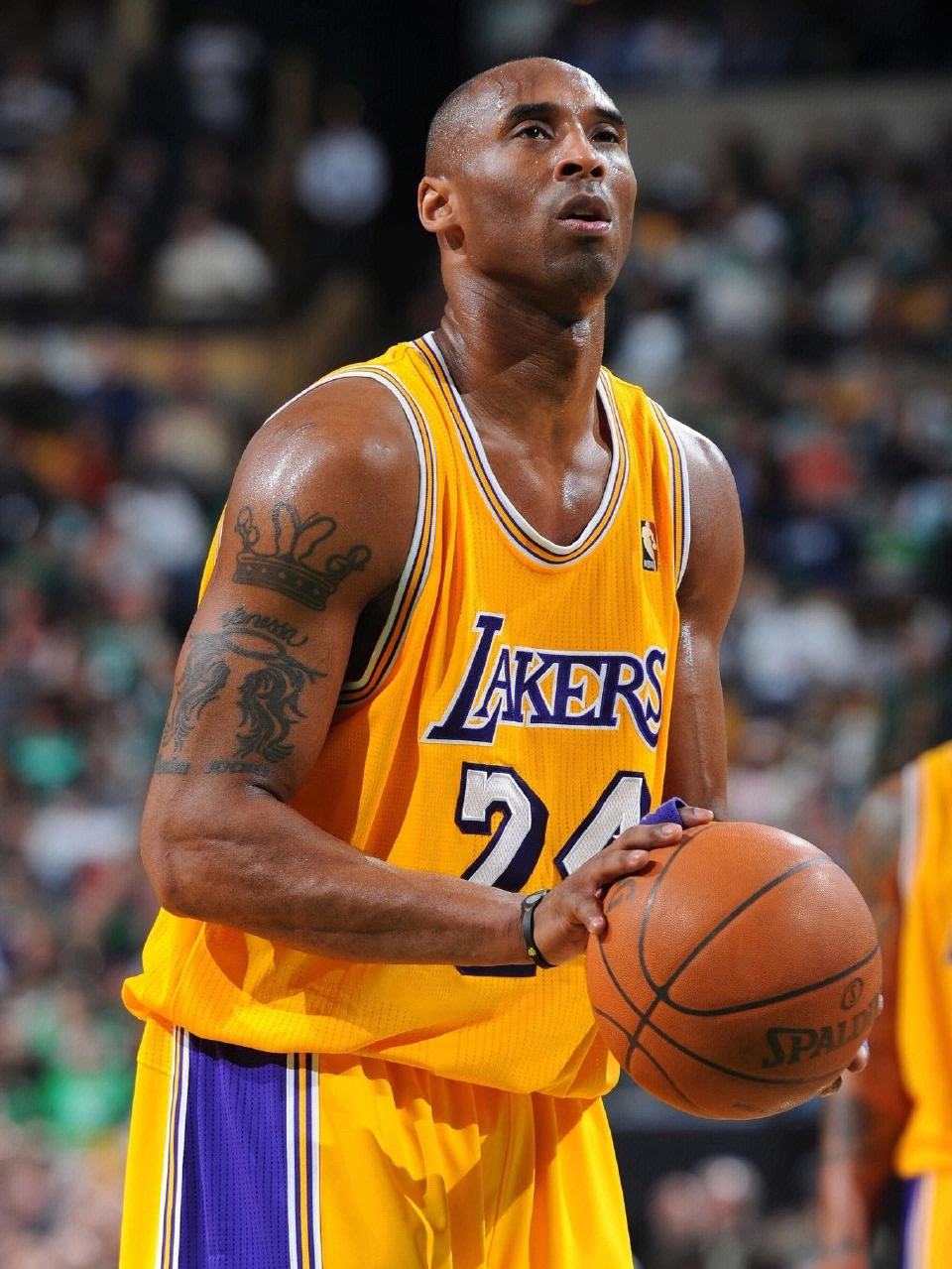 王威廉教授,王威廉和neinei