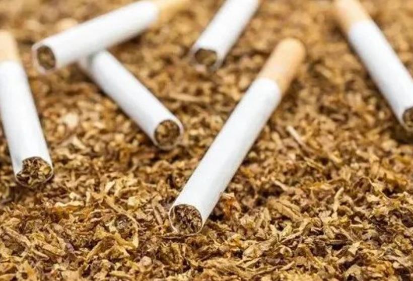 福建造假烟是哪个县,福建制造假烟的地方