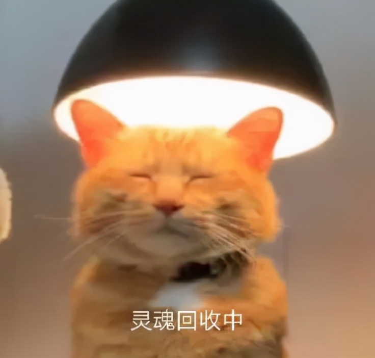 重温请回答1988,请回答1988韩式烤肉