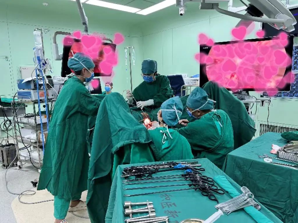 美丽与健康并存,美丽与健康同行视频