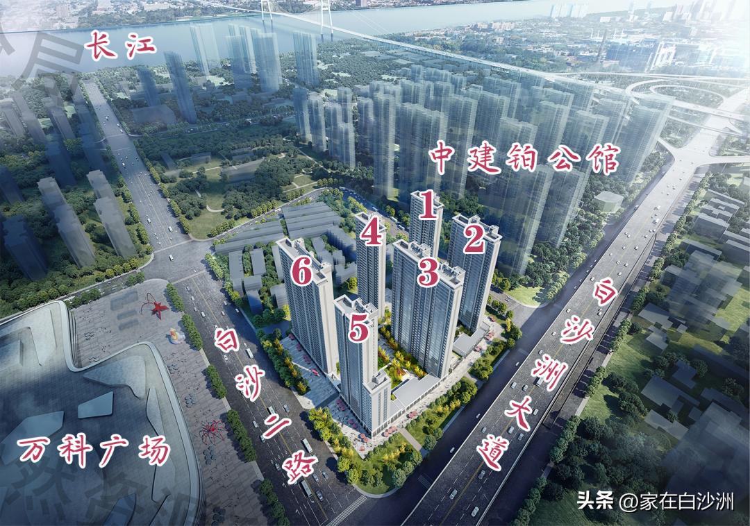 近期白沙洲房屋开盘,白沙洲最近开盘的楼盘