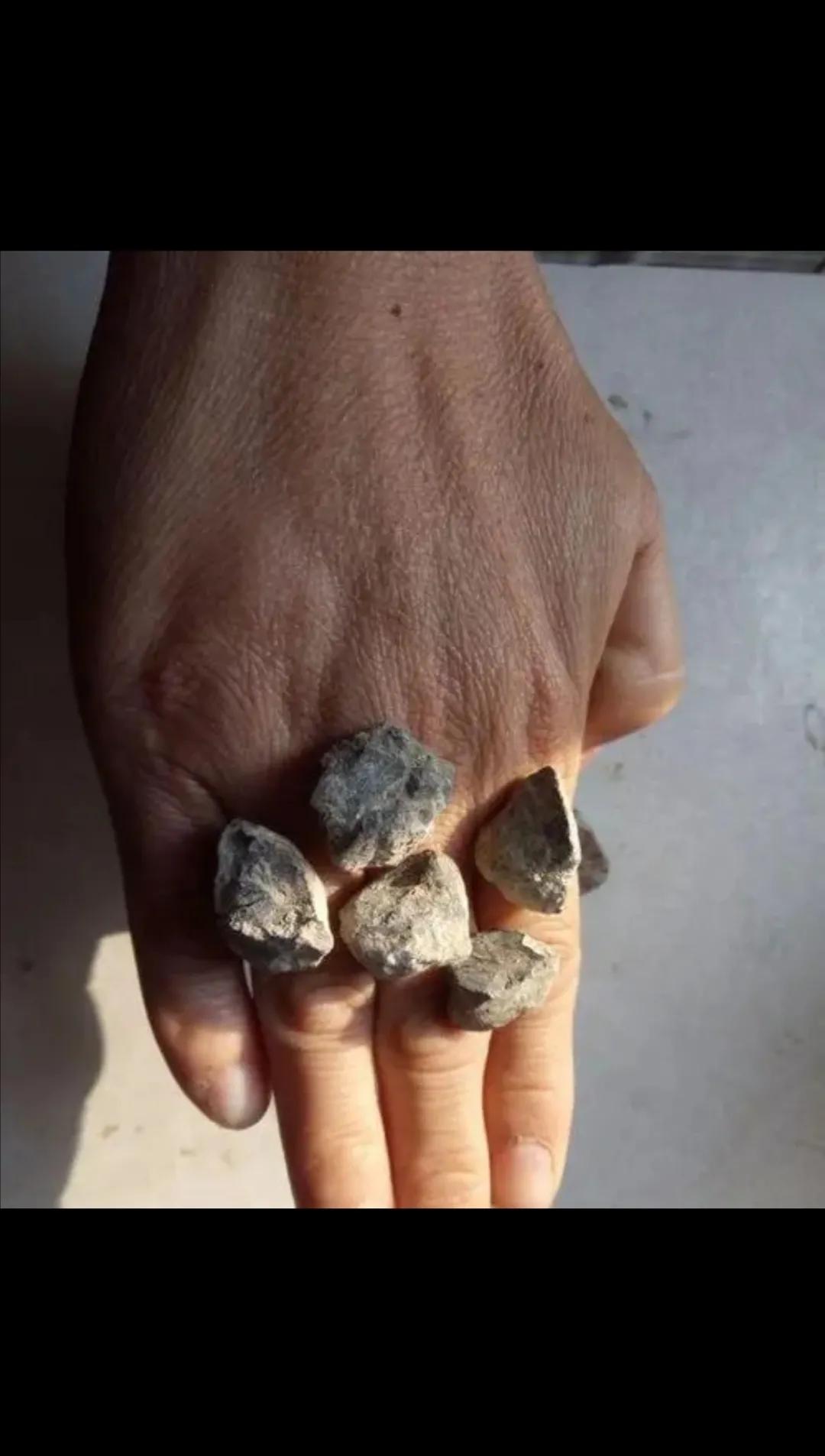 你还记得小时候看过的动画片吗,那些年看过的沙雕游戏动画片