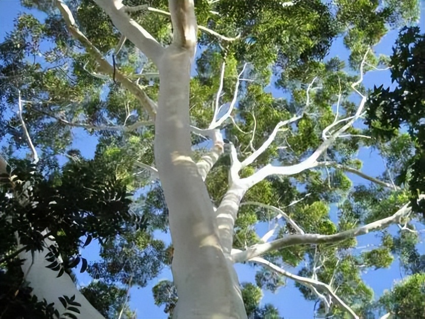 北仑疫情还回得了家吗,北仑疫情出不去了么