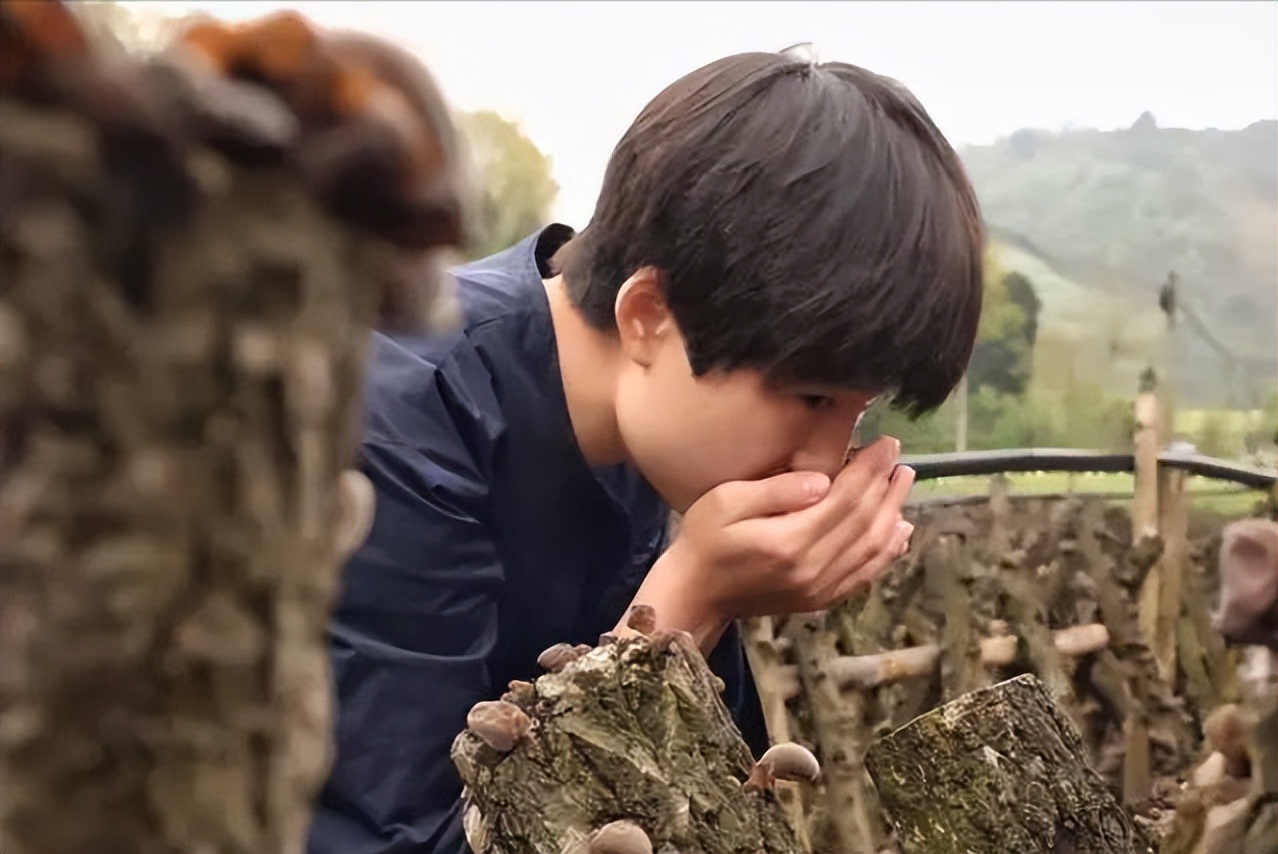 汶川高中生毕业后创业,汶川致富