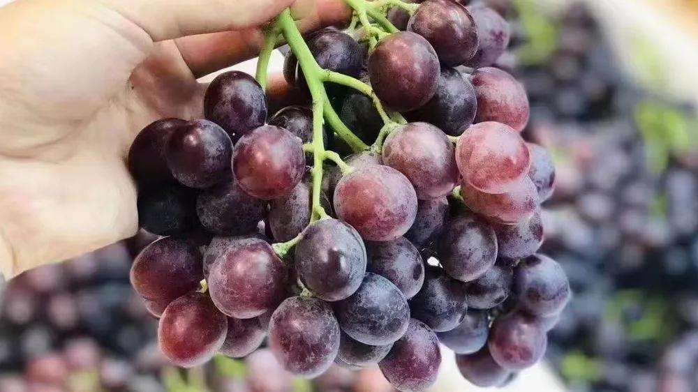 水果店开业广告语怎么写吸引人,水果店开业文案朋友圈宣传高级感