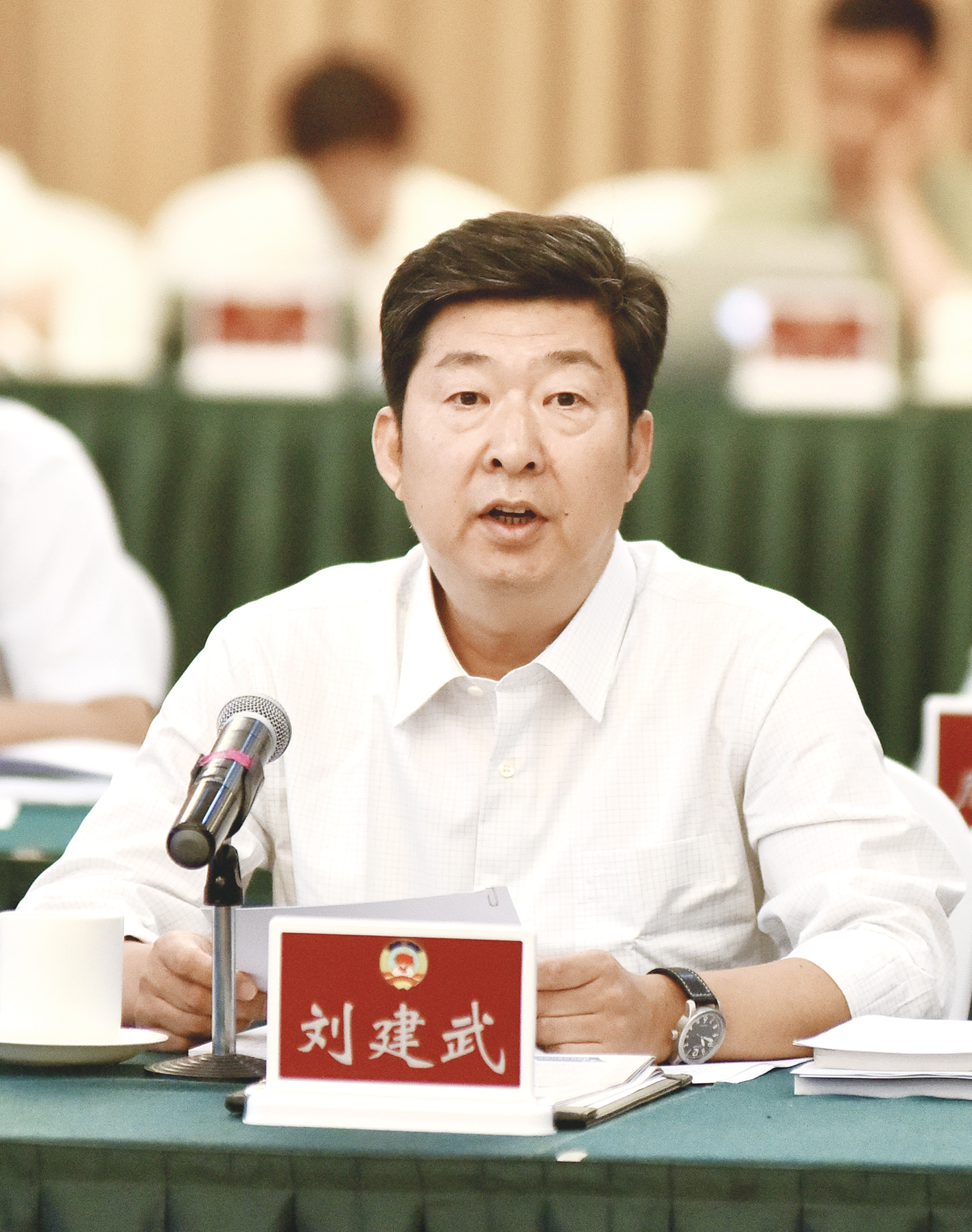 农墨重彩绘新景,农墨重彩绘丰景