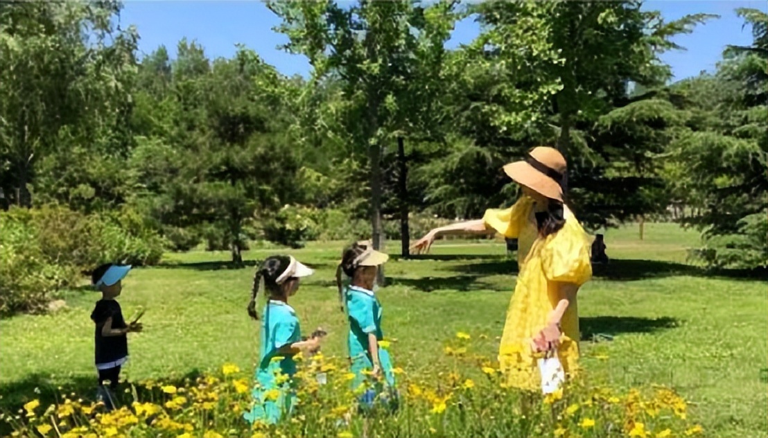 违法代言、人设崩塌、成老赖,曾经风靡的京城四美,8年后翻车了